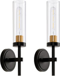 Wall Sconces Set of 2 with Clear Glass Shade